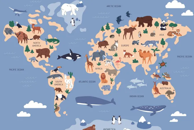 Fototapeta: Mapa świata z rybami i zwierzętami wzór dla dzieci