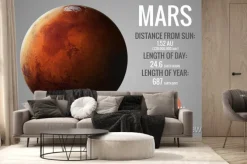 Fototapeta: Mars - infograficzna prezentuje jedną z planet układu słonecznego,