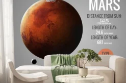 Fototapeta: Mars - infograficzna prezentuje jedną z planet układu słonecznego,