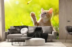 Fototapeta: Mały kotek z motylem na słonecznej łące