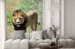 Fototapeta: Mężczyzna lew, namibia