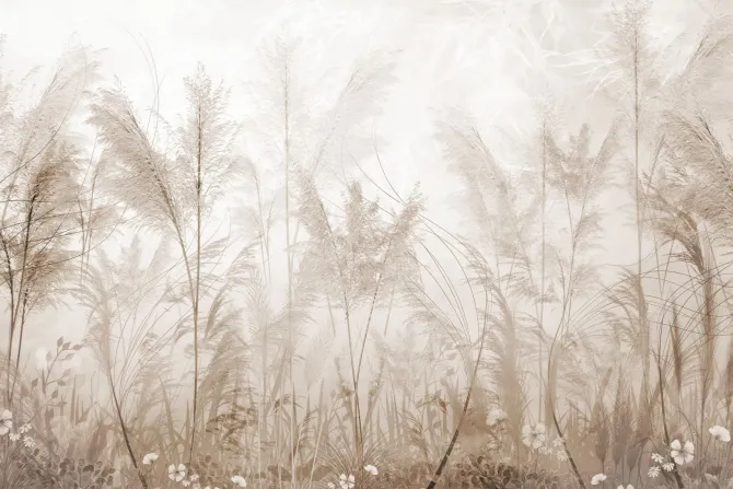 Fototapeta: Mglista łąka kwiaty polne w odcieniach beżu