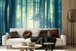 Fototapeta: Mglisty krajobraz las o poranku