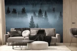 Fototapeta: Mglisty krajobraz las iglasty