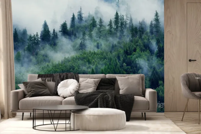 Fototapeta: Mglisty krajobraz z lasem i poranną mgłą