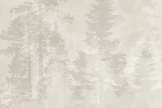 Fototapeta: Mglisty las iglasty w beżach minimalistyczny wzór