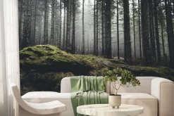 Fototapeta: Mglisty las sosnowy