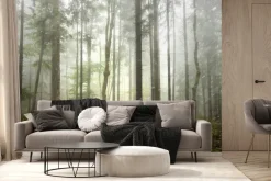 Fototapeta: Mglisty las w deszczowym krajobrazie