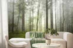 Fototapeta: Mglisty las w deszczowym krajobrazie