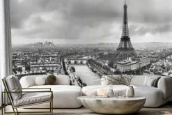 Fototapeta: Miejski krajobraz paryża z rzeką i wieżą eiffla