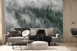 Fototapeta: Misty forest in south tyrol, italy