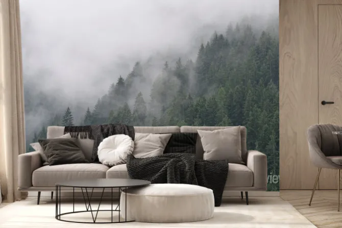 Fototapeta: Misty forest in south tyrol, italy