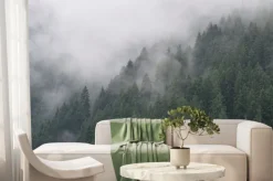 Fototapeta: Misty forest in south tyrol, italy