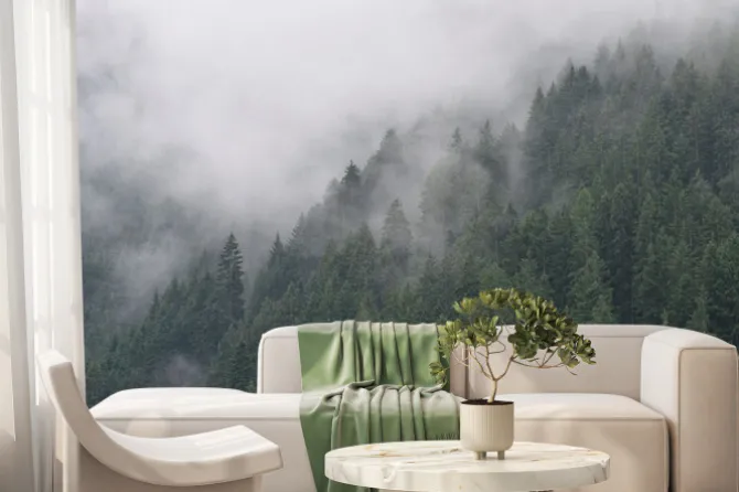 Fototapeta: Misty forest in south tyrol, italy