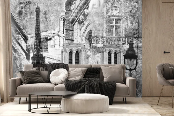 Fototapeta: Monochromatyczne przedstawienie paryża