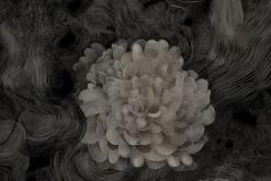 Fototapeta: Monochromatyczna kwiatowa abstrakcja w nowoczesnym stylu