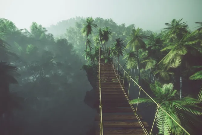Fototapeta: Most linowy w mglistej dżungli z palmami