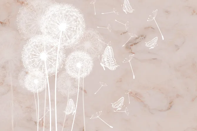 Fototapeta: Motyle i białe dmuchawce na marmurowym tle botaniczny wzór