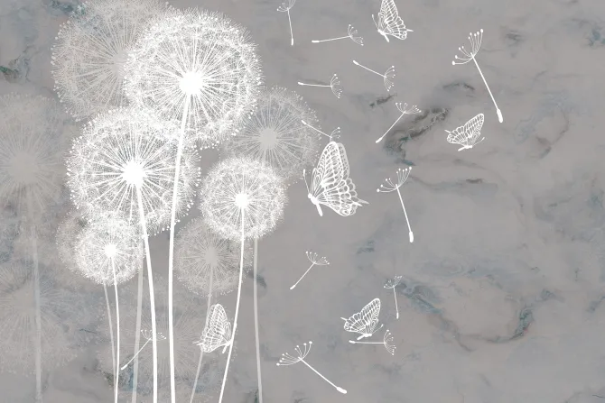 Fototapeta: Motyle i białe dmuchawce na marmurowym tle botaniczny wzór