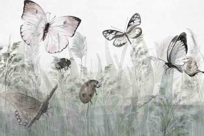 Fototapeta: Motyle i biedronka na letniej łące krajobraz z owadami i roślinami