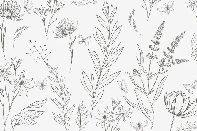 Fototapeta: Motyle i dzikie rośliny w minimalistycznym stylu naturalny wzór