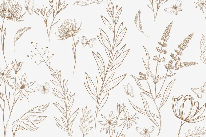 Fototapeta: Motyle i dzikie rośliny w minimalistycznym stylu naturalny wzór