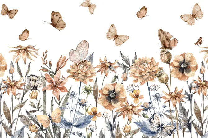 Fototapeta: Motyle i kwiaty polne akwarelowa łąka na jasnym tle