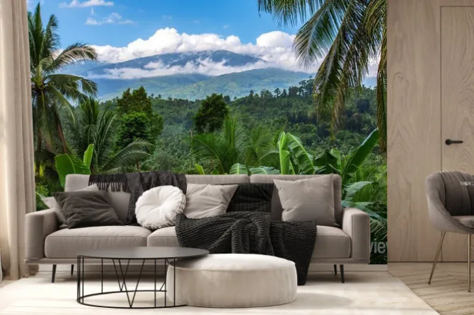 Fototapeta: Mount halcon w chmurach, wyspa mindoro, filipiny