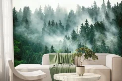 Fototapeta: Naturalny krajobraz z lasem we mgle
