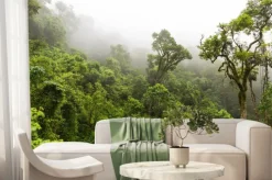 Fototapeta: Naturalny las w magoebaskloof