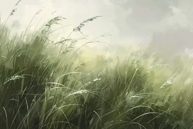 Fototapeta: Naturalny pejzaż zielone pole trawy spokojny widok przyrody