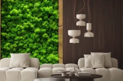 Fototapeta: Naturalny zielony mech dekoracyjny