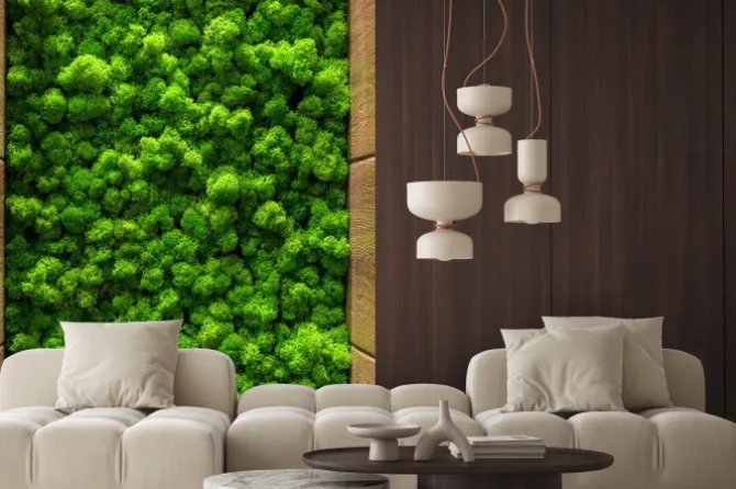 Fototapeta: Naturalny zielony mech dekoracyjny