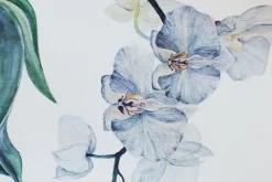Fototapeta: Niebieski storczyk z liśćmi