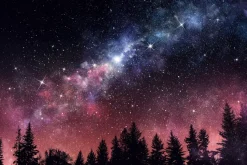 Fototapeta: Nocny krajobraz z lasem i gwiazdami