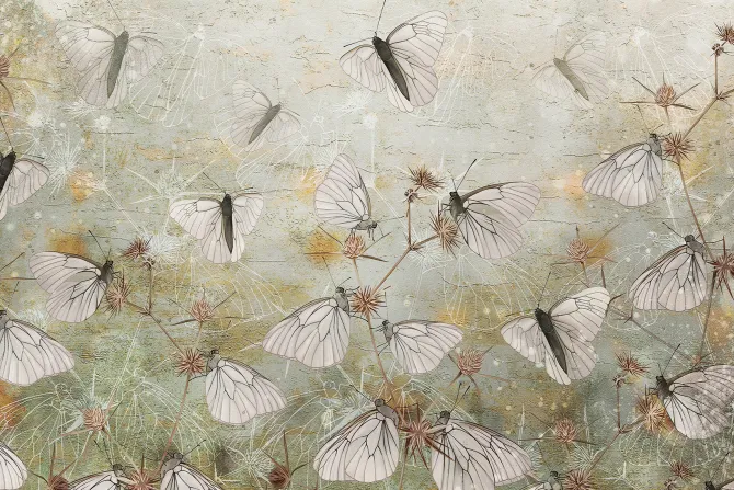 Fototapeta: Nowoczesna abstrakcja motyle i dzikie rośliny polne na teksturowym