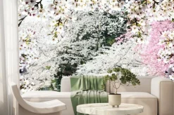 Fototapeta: Obraz piękny sakura seasnon w kyoto, japonia