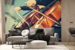 Fototapeta: Orkiestra symfoniczna na scenie, grając na wiolonczeli rąk