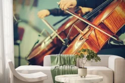 Fototapeta: Orkiestra symfoniczna na scenie, grając na wiolonczeli rąk