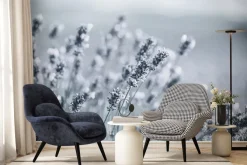 Fototapeta: Oszronione kwiaty lawendy