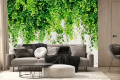 Fototapeta: Ozdobne zielone pnącza zwisające z góry