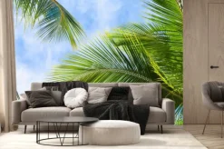 Fototapeta: Palmy kokosowe liście