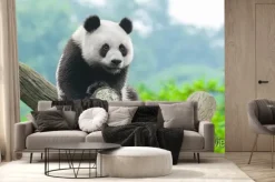 Fototapeta: Panda siedząca na gałęzi w zielonym lesie