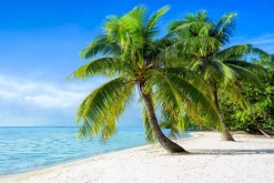 Fototapeta: Panorama plaży w lecie