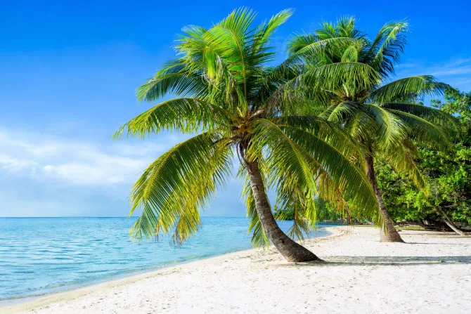 Fototapeta: Panorama plaży w lecie