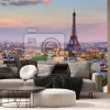 Fototapeta: Panoramiczny widok zachodu słońca w paryżu z wieżą eiffla
