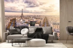 Fototapeta: Paris city with eiffel tower viewed from the arc de triomphe