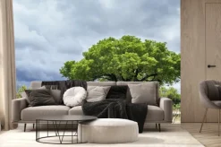 Fototapeta: Park narodowy krugera krajobrazu, republika południowej afryki