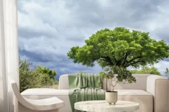 Fototapeta: Park narodowy krugera krajobrazu, republika południowej afryki