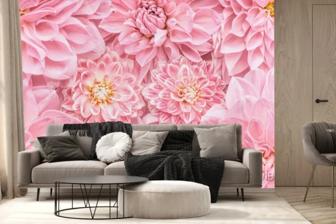 Fototapeta: Pastelowe różowe kwiaty tło, widok z góry, układ lub kartkę z